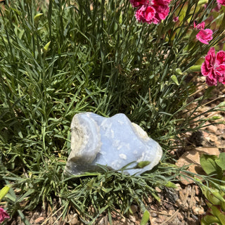 Blue Lace Agate Cluster Specimen at Mind's Eye Mystics