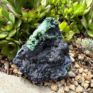 Azurite 12.0oz / 4.5 x 3.5in Specimen at Mind's Eye Mystics