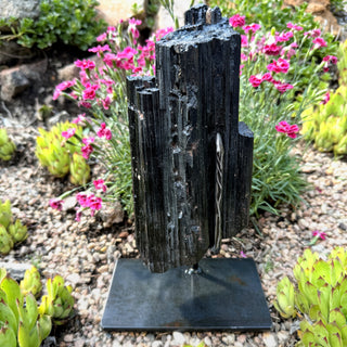 Black Tourmaline Log on Stand Statement Piece at Mind's Eye Mystics