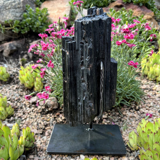 Detail view of Black Tourmaline Log on Stand Statement Piece at Mind's Eye Mystics