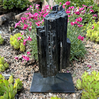 Detail view of Black Tourmaline Log on Stand Statement Piece at Mind's Eye Mystics