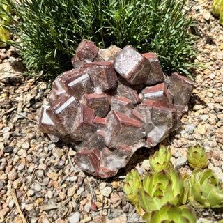 Chocolate Calcite XL Cluster Statement Piece at Mind's Eye Mystics