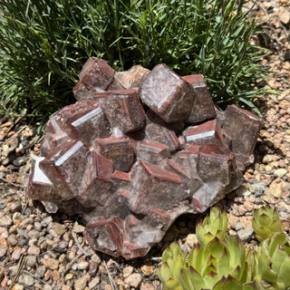 Detail view of Chocolate Calcite XL Cluster Statement Piece at Mind's Eye Mystics