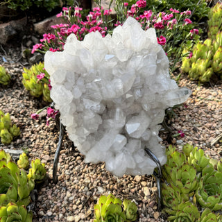 Clear Quartz Specimen on Stand Statement Piece at Mind's Eye Mystics