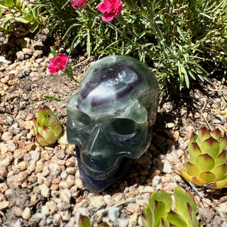 Fluorite Skull Carving Carving at Mind's Eye Mystics