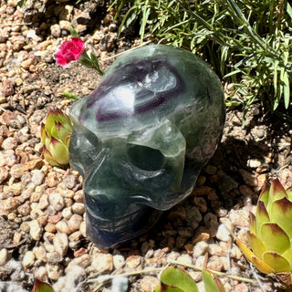 Detail view of Fluorite Skull Carving Carving at Mind's Eye Mystics