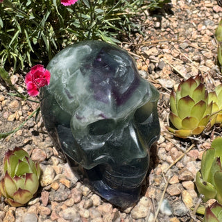 Detail view of Fluorite Skull Carving Carving at Mind's Eye Mystics