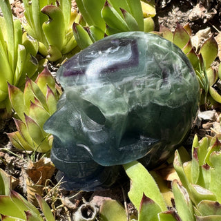 Detail view of Fluorite Skull Carving Carving at Mind's Eye Mystics