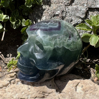 Detail view of Fluorite Skull Carving Carving at Mind's Eye Mystics