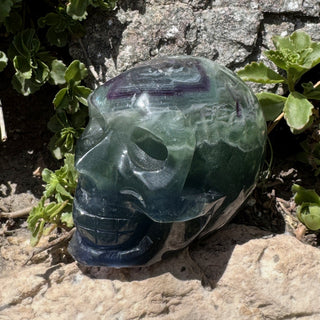Detail view of Fluorite Skull Carving Carving at Mind's Eye Mystics