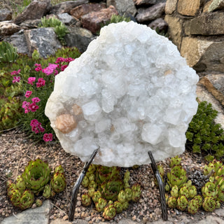 Apophyllite Cluster on Stand Statement Piece at Mind's Eye Mystics