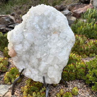 Detail view of Apophyllite Cluster on Stand Statement Piece at Mind's Eye Mystics