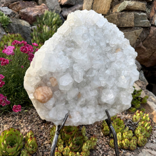 Detail view of Apophyllite Cluster on Stand Statement Piece at Mind's Eye Mystics