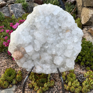 Detail view of Apophyllite Cluster on Stand Statement Piece at Mind's Eye Mystics
