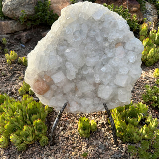 Detail view of Apophyllite Cluster on Stand Statement Piece at Mind's Eye Mystics