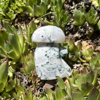 Moss Agate Mushroom, White Druzy 505gs, 17.81oz, 4in x 3in Carving at Mind's Eye Mystics