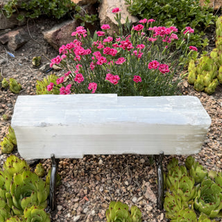 Detail view of Selenite Log on Stand Statement Piece at Mind's Eye Mystics