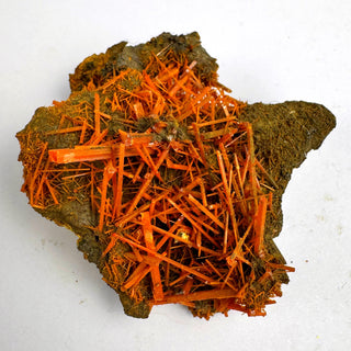 Crocoite Specimen - Piece / The Burst Crystal - Specimen at Mind's Eye Mystics