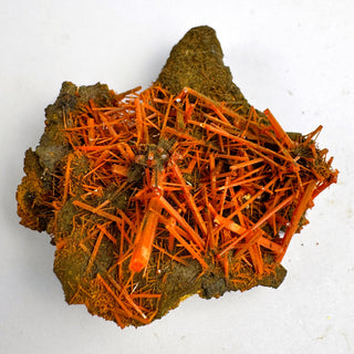 Detail view of Crocoite Specimen - Piece / The Burst Crystal - Specimen at Mind's Eye Mystics