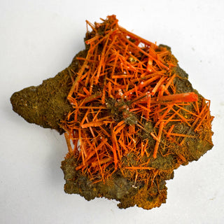 Detail view of Crocoite Specimen - Piece / The Burst Crystal - Specimen at Mind's Eye Mystics