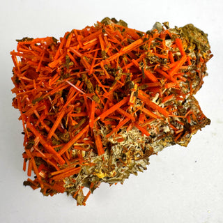 Crocoite Specimen - Piece / The Tangle Crystal - Specimen at Mind's Eye Mystics