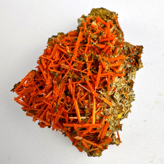 Detail view of Crocoite Specimen - Piece / The Tangle Crystal - Specimen at Mind's Eye Mystics