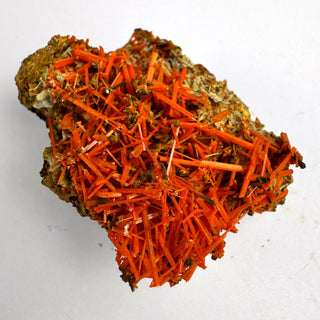 Detail view of Crocoite Specimen - Piece / The Tangle Crystal - Specimen at Mind's Eye Mystics