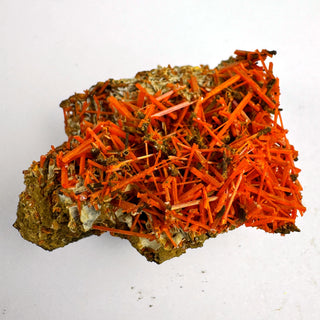Detail view of Crocoite Specimen - Piece / The Tangle Crystal - Specimen at Mind's Eye Mystics