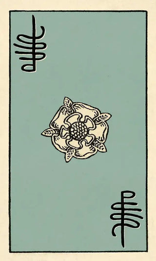 Media 8