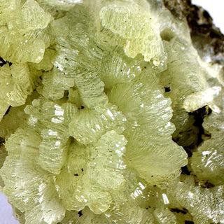 Detail view of Moroccan Prehnite AAA Crystal - Heart Chakra - Rough at Mind's Eye Mystics