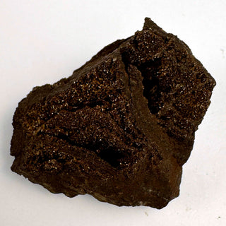 Permineralized Wood - 25-50g / The Knot Crystal - Root Chakra - Rough at Mind's Eye Mystics [Piece:The Knot]