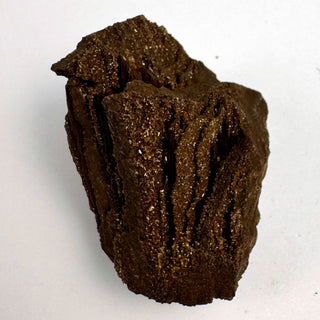 Detail view of Permineralized Wood - 25-50g / The Knot Crystal - Root Chakra - Rough at Mind's Eye Mystics [Piece:The Knot]