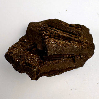 Detail view of Permineralized Wood - 25-50g / The Knot Crystal - Root Chakra - Rough at Mind's Eye Mystics [Piece:The Knot]