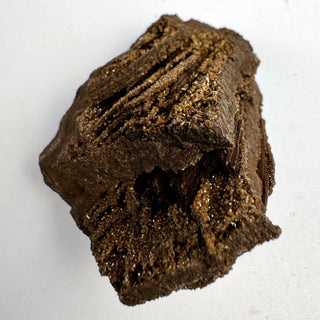 Detail view of Permineralized Wood - 25-50g / The Knot Crystal - Root Chakra - Rough at Mind's Eye Mystics [Piece:The Knot]
