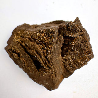 Detail view of Permineralized Wood - 25-50g / The Knot Crystal - Root Chakra - Rough at Mind's Eye Mystics [Piece:The Knot]