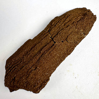 Permineralized Wood - 0-25g / The Log Crystal - Root Chakra - Rough at Mind's Eye Mystics [Piece:The Log]