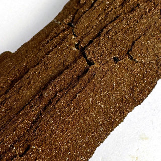 Detail view of Permineralized Wood - 0-25g / The Log Crystal - Root Chakra - Rough at Mind's Eye Mystics [Piece:The Log]