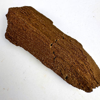 Detail view of Permineralized Wood - 0-25g / The Log Crystal - Root Chakra - Rough at Mind's Eye Mystics [Piece:The Log]