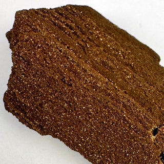 Detail view of Permineralized Wood - 0-25g / The Log Crystal - Root Chakra - Rough at Mind's Eye Mystics [Piece:The Log]