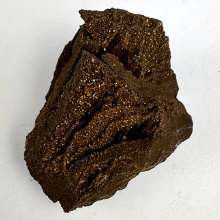Permineralized Wood - 25-50g / The Split Crystal - Root Chakra - Rough at Mind's Eye Mystics [Piece:The Split]