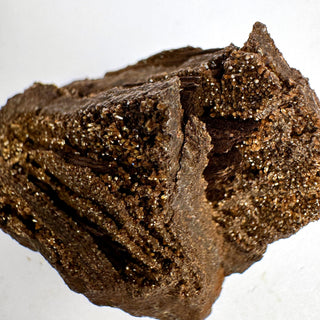Detail view of Permineralized Wood - 25-50g / The Split Crystal - Root Chakra - Rough at Mind's Eye Mystics [Piece:The Split]