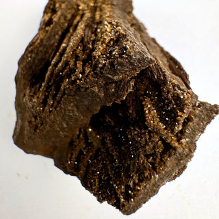 Detail view of Permineralized Wood - 25-50g / The Split Crystal - Root Chakra - Rough at Mind's Eye Mystics [Piece:The Split]