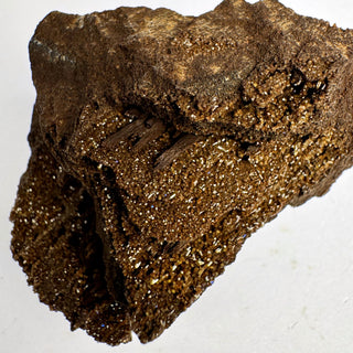 Detail view of Permineralized Wood - 25-50g / The Split Crystal - Root Chakra - Rough at Mind's Eye Mystics [Piece:The Split]