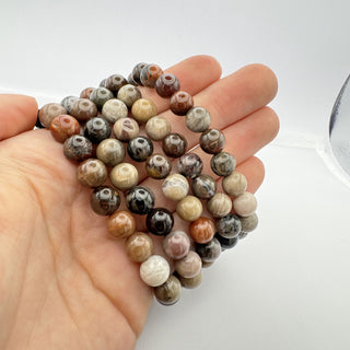 Petrified Wood 8mm Bracelet Jewelry - Bracelet at Mind's Eye Mystics