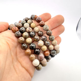 Petrified Wood 8mm Bracelet Jewelry - Bracelet at Mind's Eye Mystics