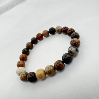 Detail view of Petrified Wood 8mm Bracelet Jewelry - Bracelet at Mind's Eye Mystics