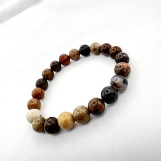 Detail view of Petrified Wood 8mm Bracelet Jewelry - Bracelet at Mind's Eye Mystics