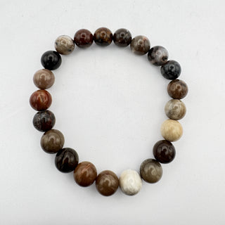 Detail view of Petrified Wood 8mm Bracelet Jewelry - Bracelet at Mind's Eye Mystics