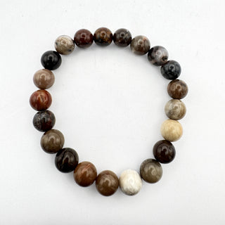 Detail view of Petrified Wood 8mm Bracelet Jewelry - Bracelet at Mind's Eye Mystics