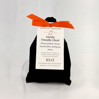 Trick or Treasure: Mostly Friendly Ghost mystery bag with its theme tag